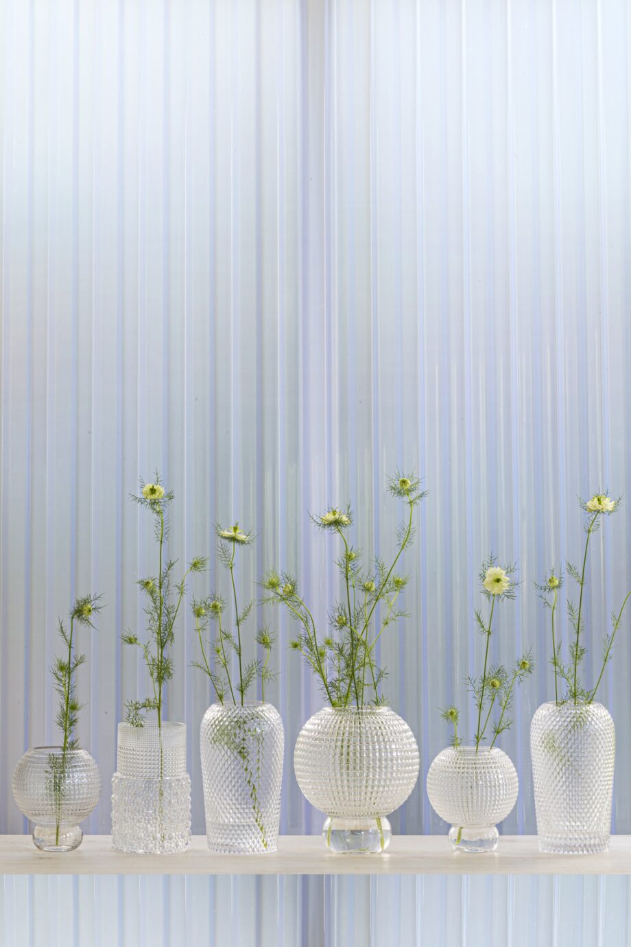 Specktrum vase clear