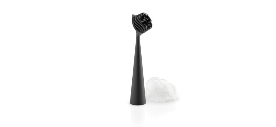 black dish washing brush