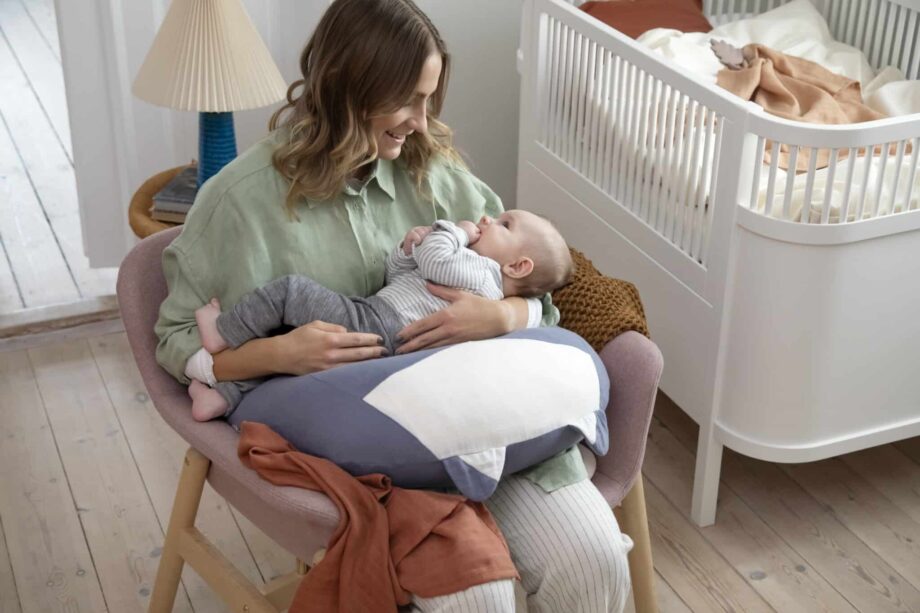 Rebel nursing pillow sebra