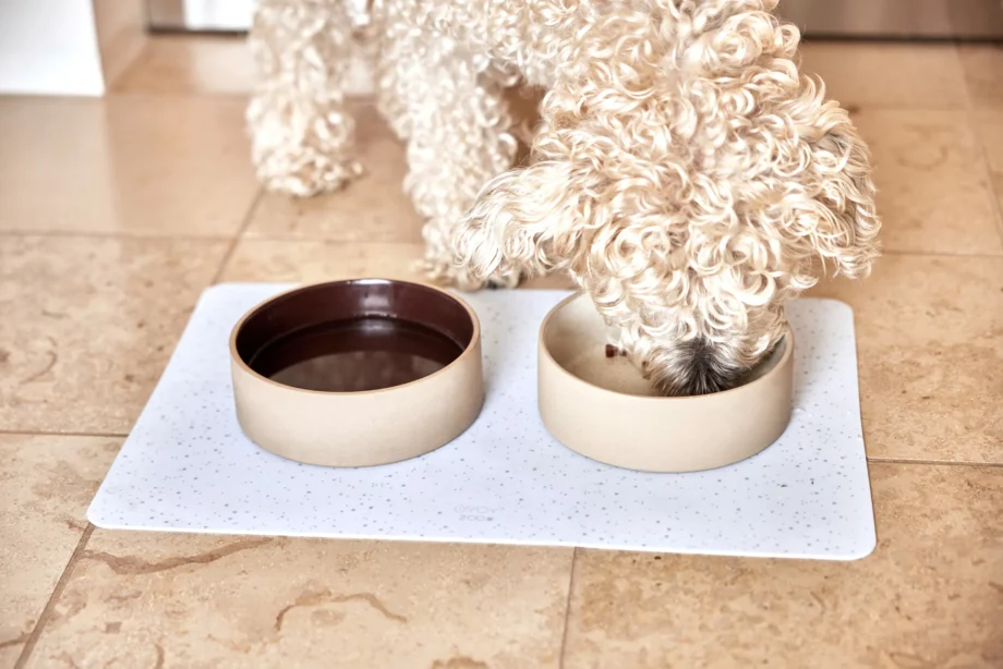 Koko Dog Bowl Mat, Ice - OYOY Zoo