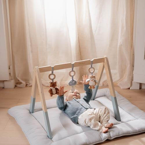 Baby gym little dutch