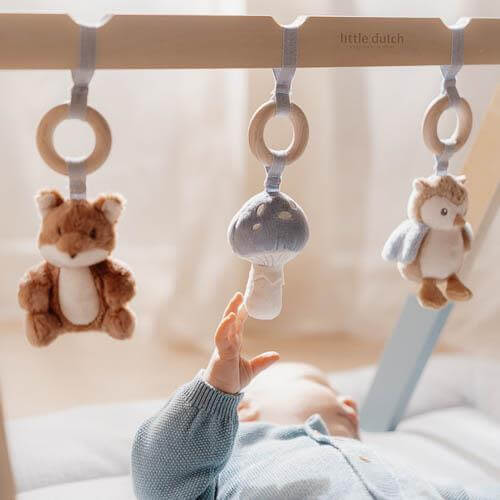 Baby gym Forest Friends