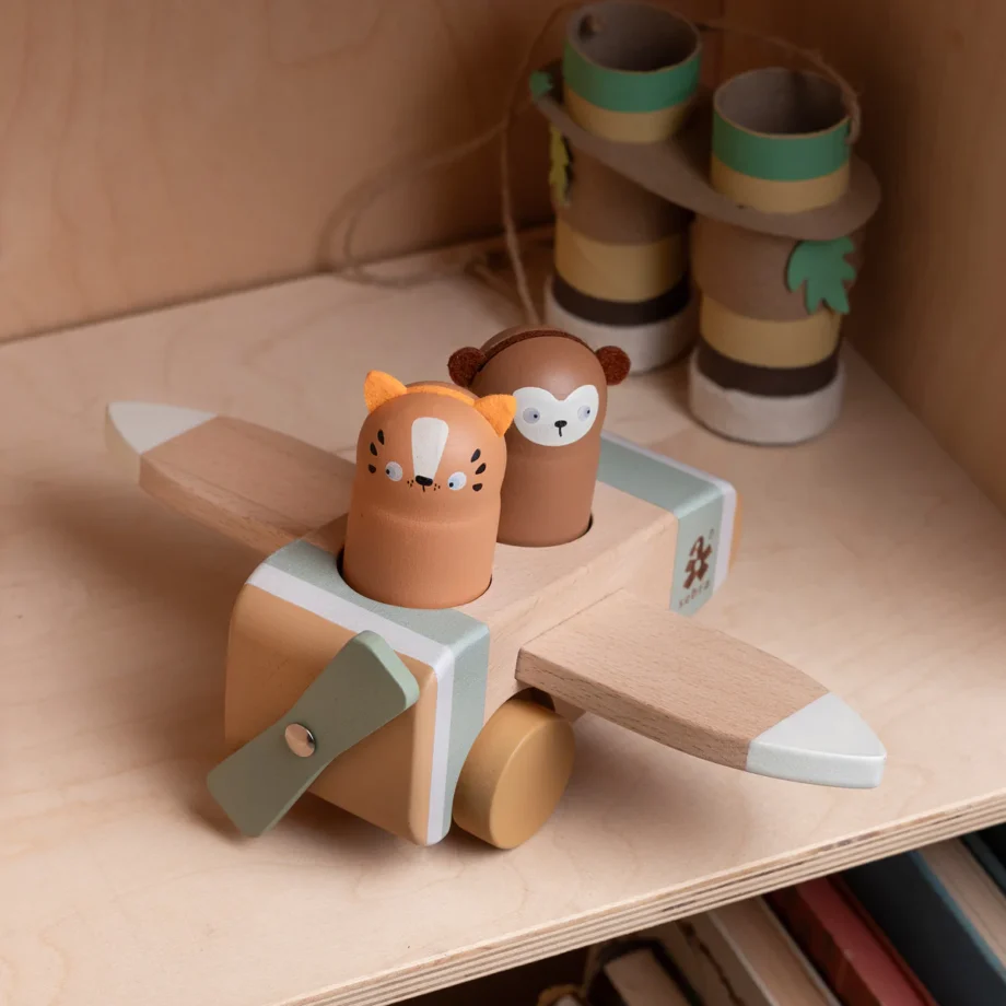 Sebra airplane