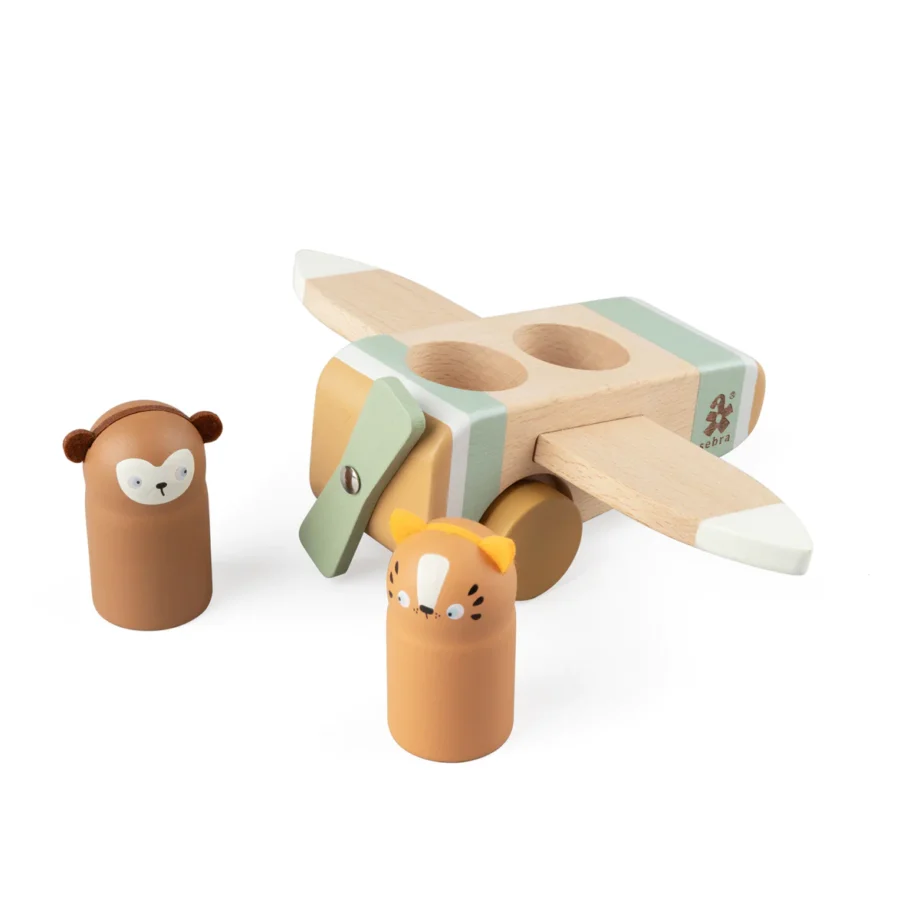 Sebra airplane