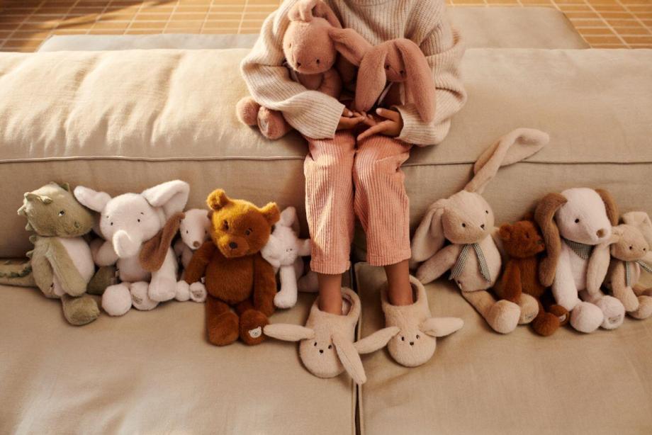 BINNIE DOG SMALL TEDDY