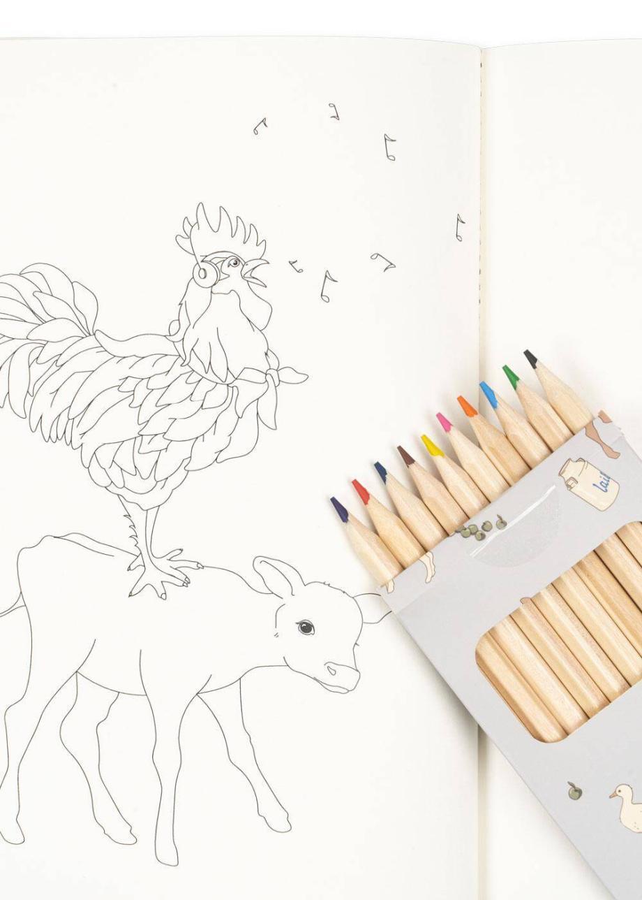 COLORING BOOK AND CRAYONS