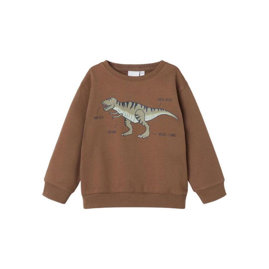 Dino sweat name it