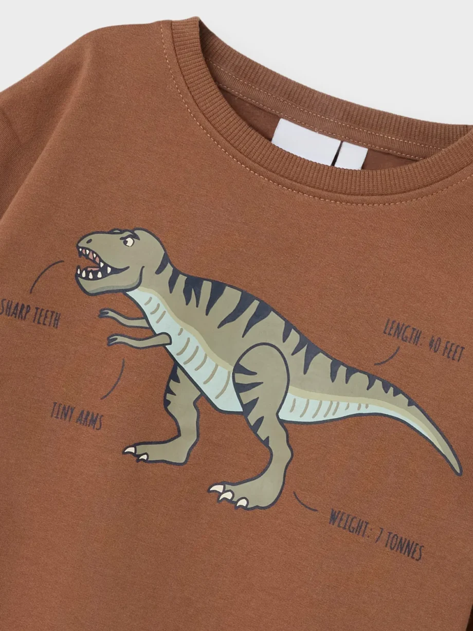 Pullover Dino Pecan Pie - Name It