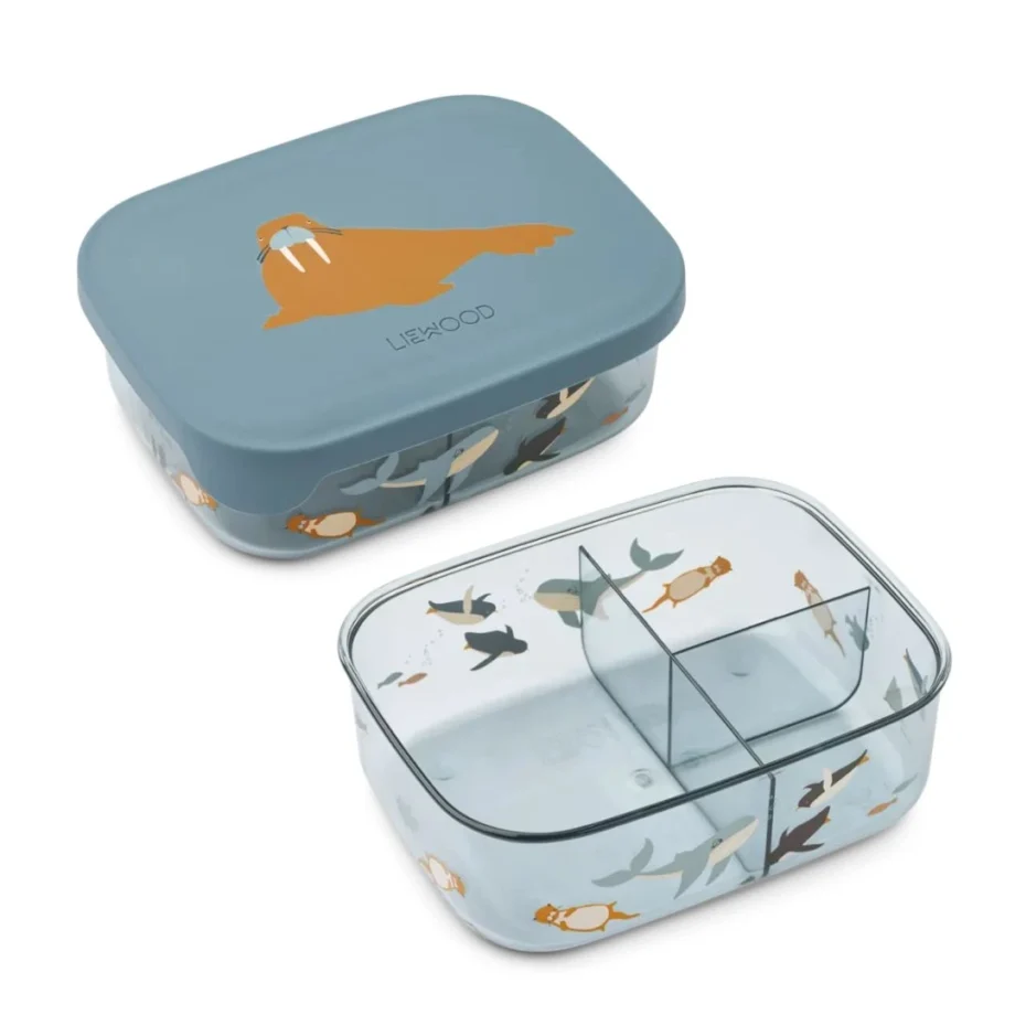 ARTHUR TRITAN LUNCHBOX