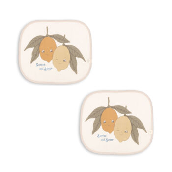 CAR SUNSHADE