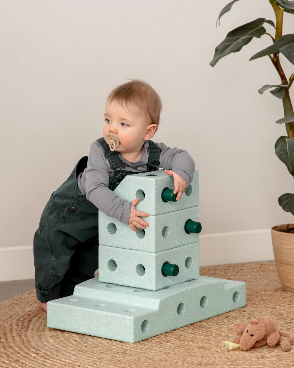 Explorer Set Mint - Modu
