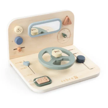 Activity panel, Car