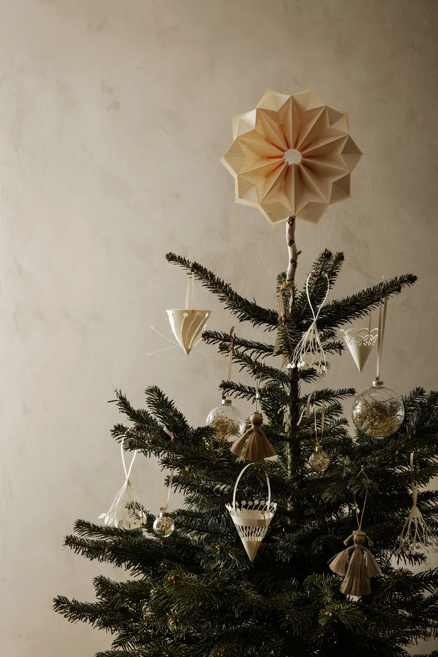 Weihnachtssterne  Nordichaus.ch