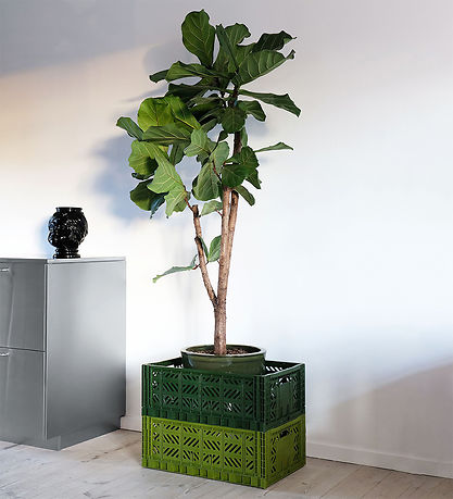 Folding box maxi - Ay-kasa