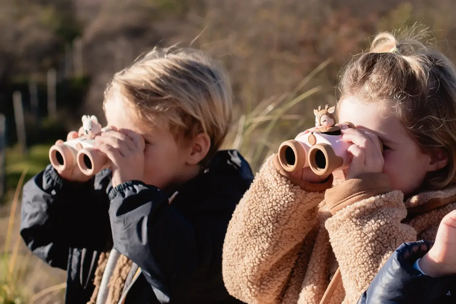 Binoculars Zoo Eyes Deer