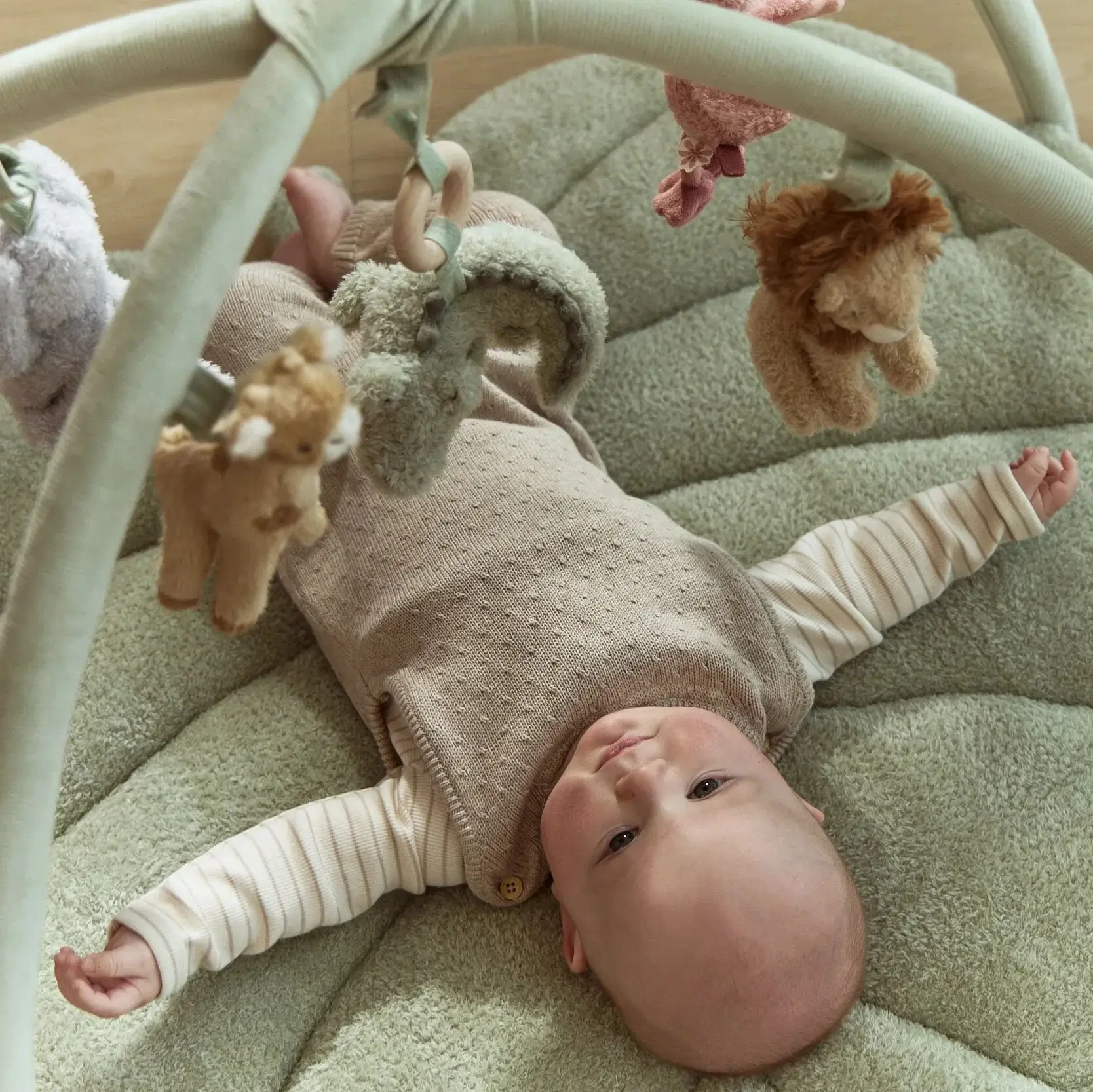 Safari Friends - Spielmatte mit Bogen GRS