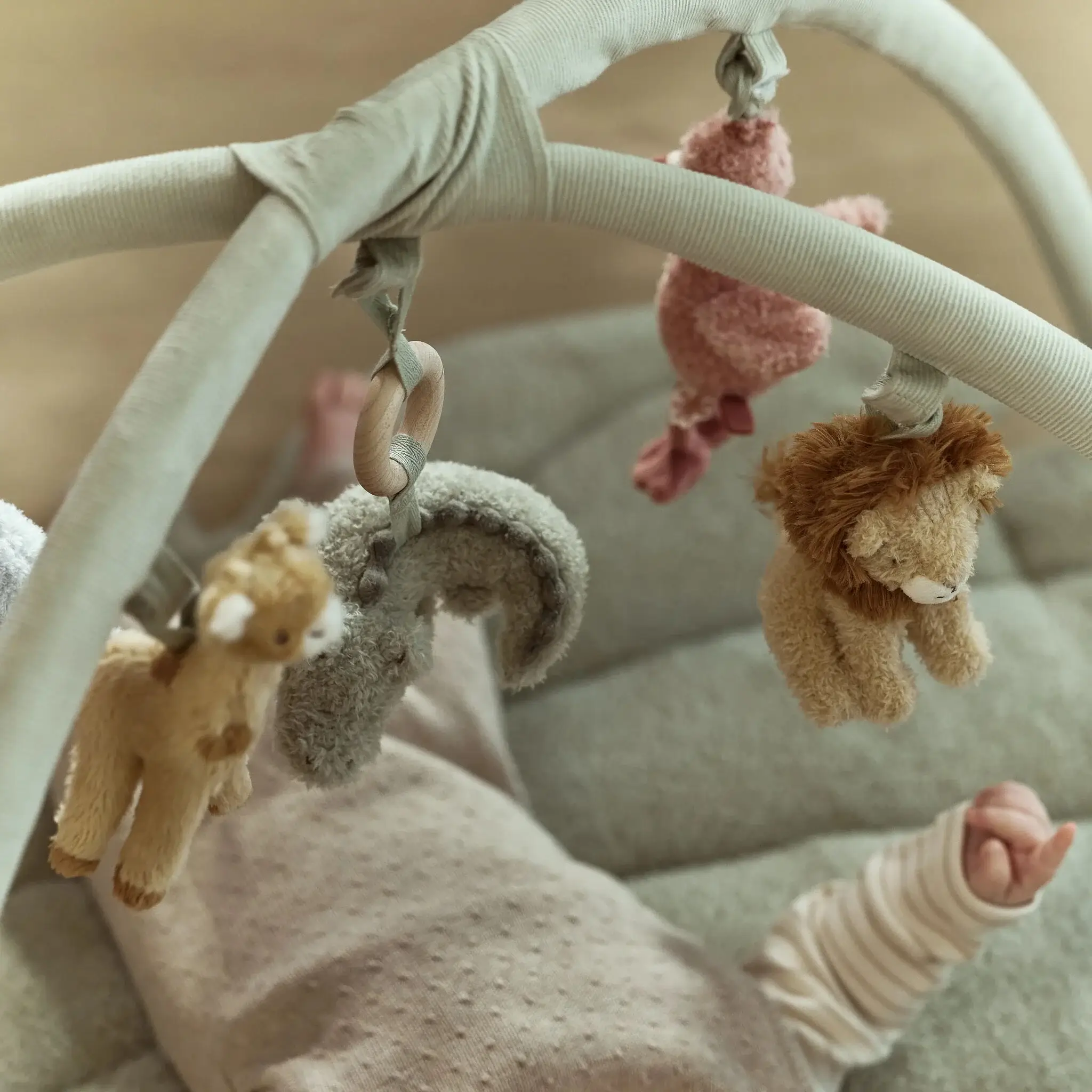 Safari Friends - Spielmatte mit Bogen GRS