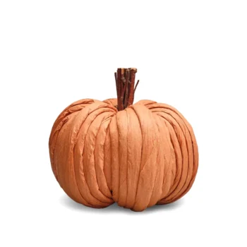 Orange pumpkin kürbis