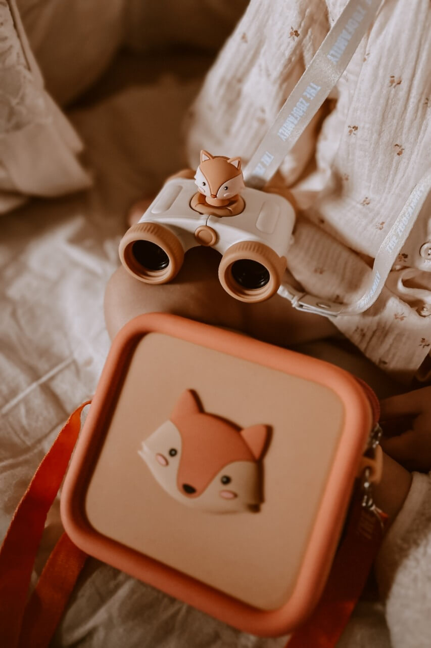 Eyes Binoculars Raccoon