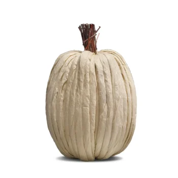 Autumn decor pumpkin cream