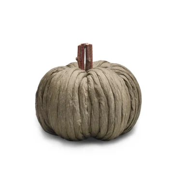 small pumpkin grey