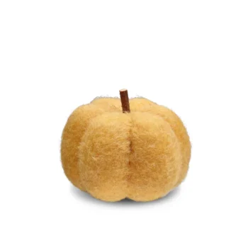 Pumpkin felt yellow