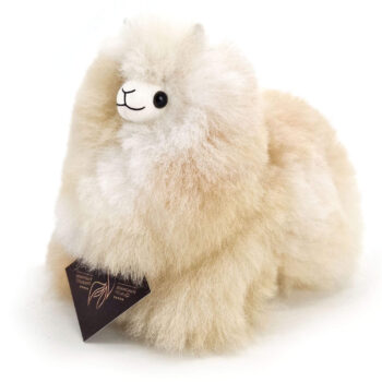 Sahara alpaca